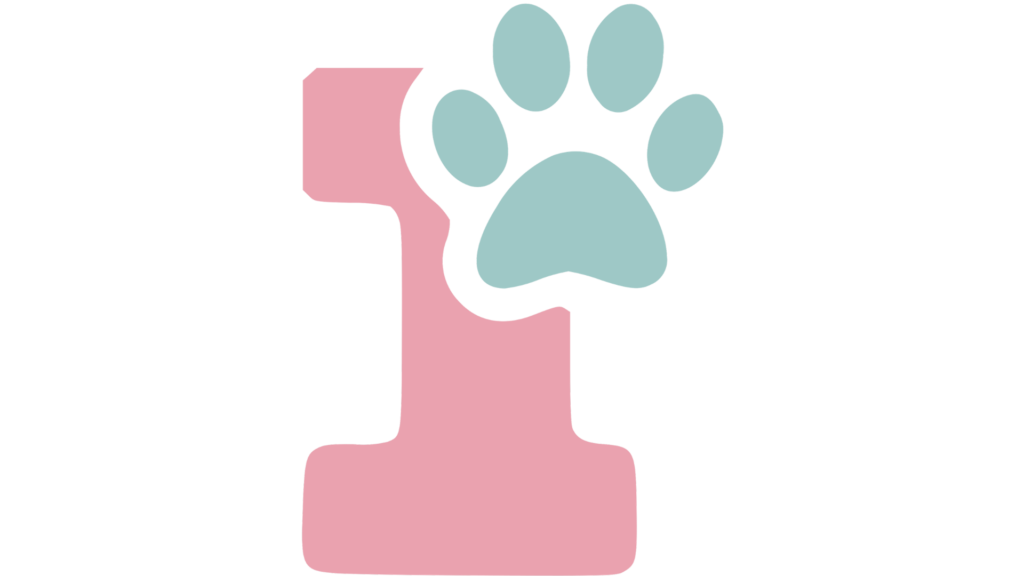 no.1 (1)