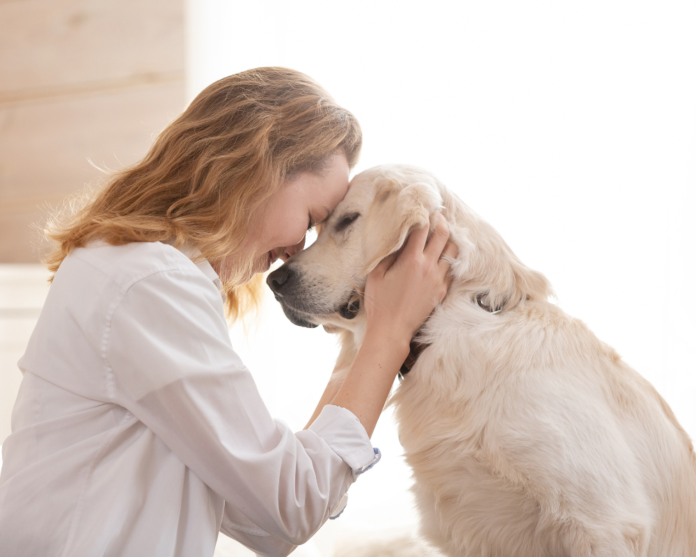 live in pet sitting (5)