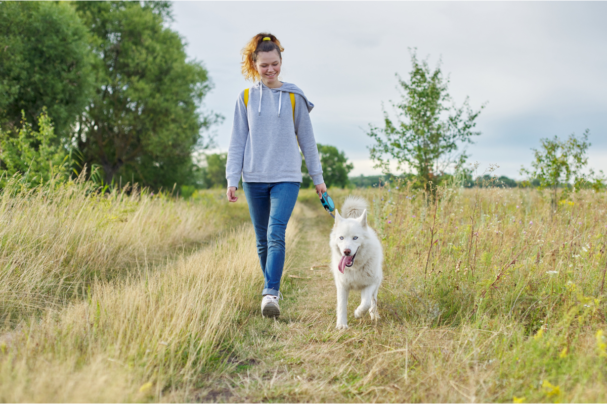 services dog walking2