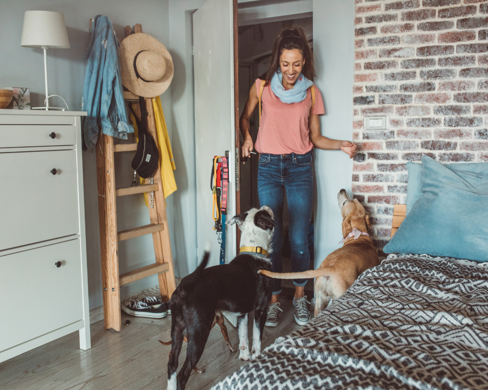 woman filling form with dog